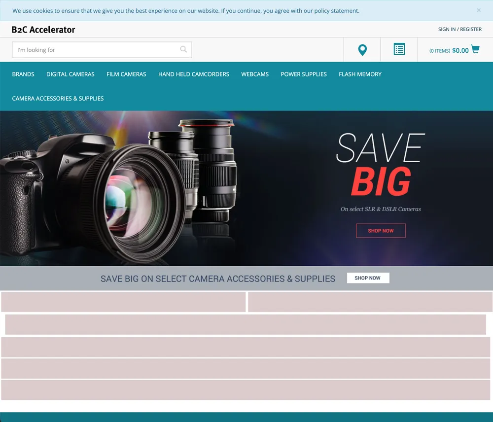 Homepage with dummy element that have styling, the page indicate that some elements are not yet loaded