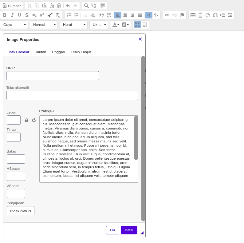 Image added to WYSIWYG editor