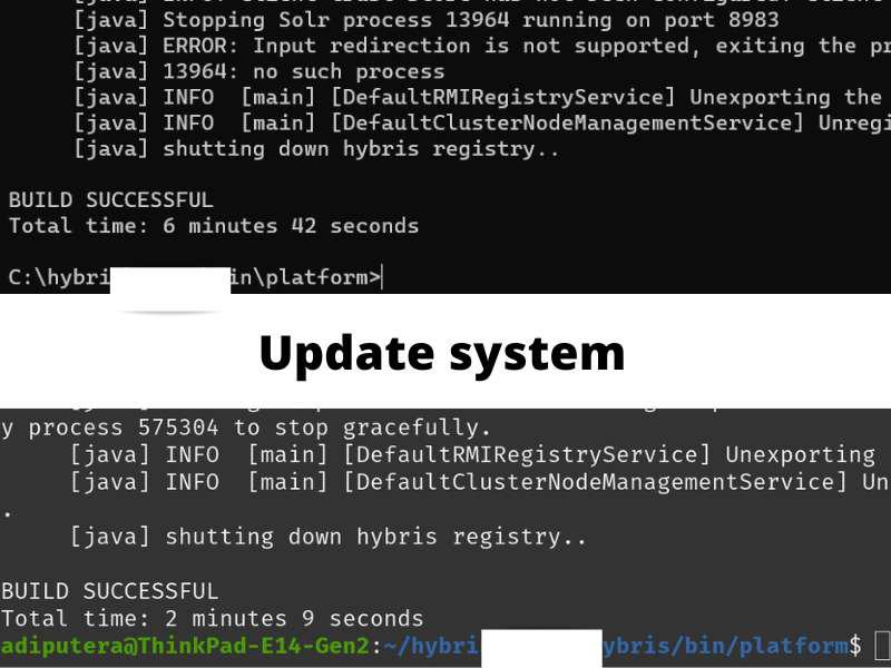 Running ant update system on Windows vs Linux